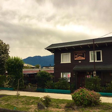 Hospedaje Irma Backpackers 普孔 外观 照片